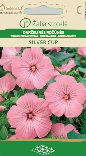 TRĪSMĒNEŠU LAVATĒRAS SILVER CUP цена и информация | Puķu sēklas | 220.lv