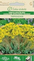 Очиток скальный TRIPMADAM цена и информация | Семена цветов | 220.lv