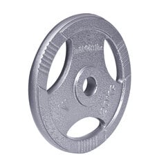 Стальной весовой диск inSPORTline Olympic Hamerton, 25 кг цена и информация | Гантели, гири, штанги | 220.lv