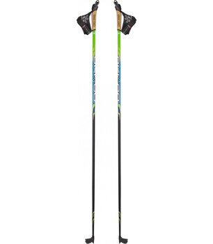 Лыжные палки для равнин Skigo XC цена и информация | Лыжные палки | 220.lv