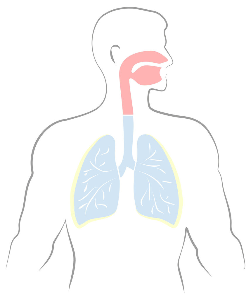 Medisana IN 550 Pro cena un informācija | Inhalatori | 220.lv