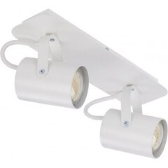 Потолочный светильник Kamera, 32558 цена и информация | Потолочные светильники | 220.lv