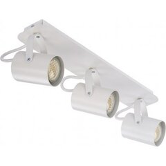 Потолочный светильник Kamera, 32556 цена и информация | Потолочные светильники | 220.lv
