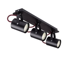 Потолочный светильник Kamera, 32611 цена и информация | Потолочные светильники | 220.lv