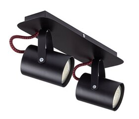 Потолочный светильник Kamera, 32612 цена и информация | Потолочные светильники | 220.lv
