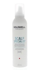 Шампунь для чувствительной кожи головы Goldwell Dualsenses Scalp Specialist Sensitive, 250 мл цена и информация | Шампуни | 220.lv