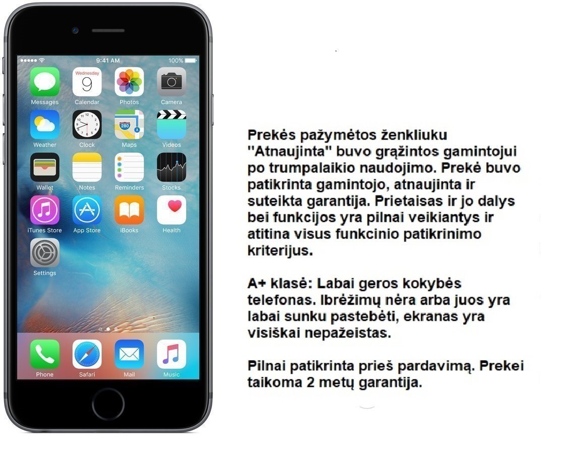 Apple iPhone 6 64GB, Pelēks (Atjaunots) A-klase cena un informācija | Mobilie telefoni | 220.lv