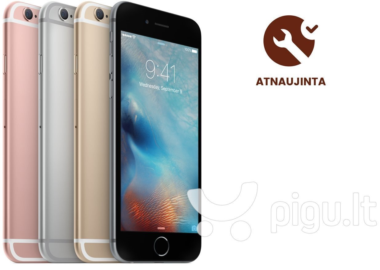 Apple iPhone 6 64GB, Pelēks (Atjaunots) A-klase cena un informācija | Mobilie telefoni | 220.lv