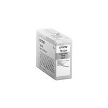 Epson T850900 Light Light Black Ultra Chrome HD ink 80ml цена и информация | Картриджи для лазерных принтеров | 220.lv