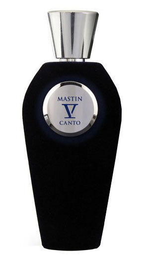 V Canto Mastin EDP 100ml cena un informācija | Sieviešu smaržas | 220.lv