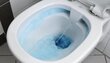 Sienas tualete Ideal Standard Tesi AquaBlade, ar lēni aizveramu vāku цена и информация | Tualetes podi | 220.lv