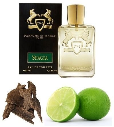 Parfimērijas ūdens Parfums de Marly Shagya EDP 125 ml цена и информация | Vīriešu smaržas | 220.lv