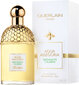 Tualetes ūdens Guerlain Aqua Allegoria Bergamote Calabria edt 75 ml cena un informācija | Sieviešu smaržas | 220.lv