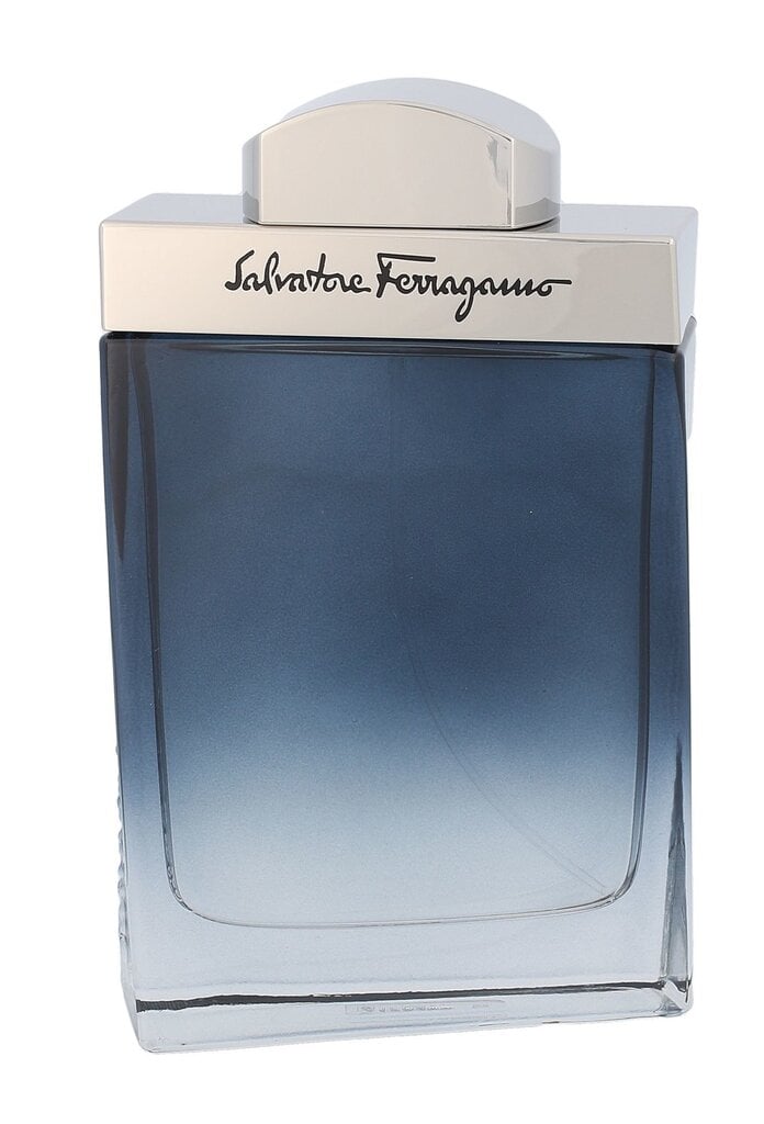 Salvatore Ferragamo Subtil EDT vīriešiem 100 ml цена и информация | Vīriešu smaržas | 220.lv