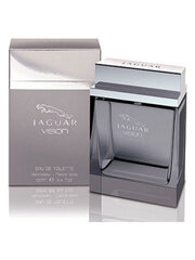 Tualetes ūdens Jaguar Vision EDT 100 ml cena un informācija | Vīriešu smaržas | 220.lv