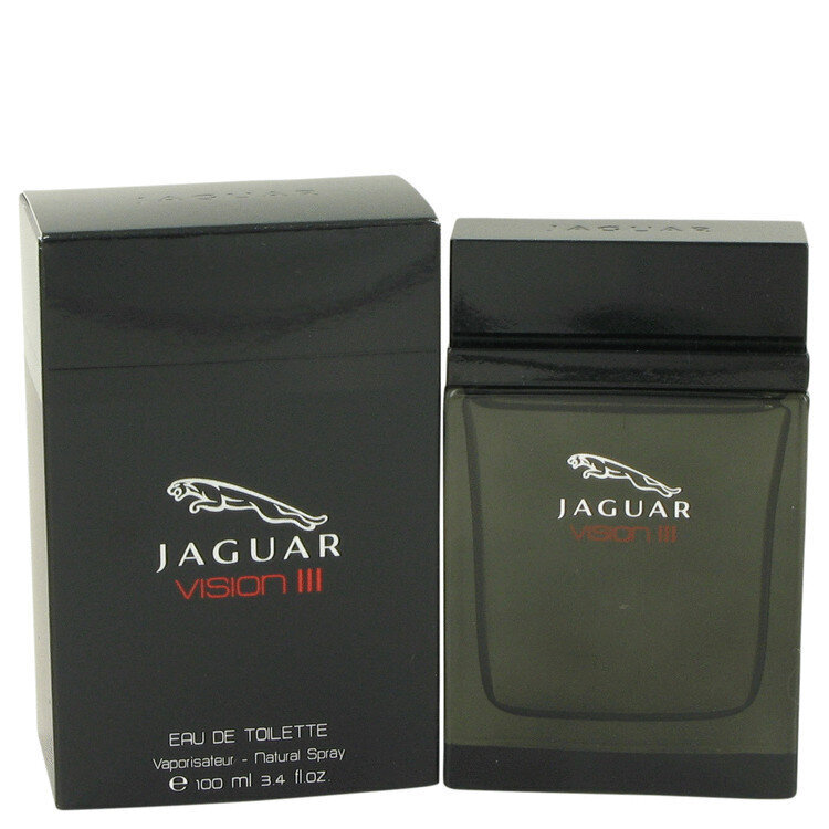 Tualetes ūdens Jaguar Vision III EDT 100 ml cena un informācija | Vīriešu smaržas | 220.lv