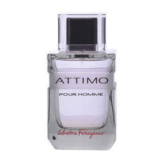 Tualetes ūdens Salvatore Ferragamo Attimo EDT vīriešiem 60 ml цена и информация | Мужские духи | 220.lv