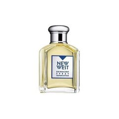 Aramis New West EDT vīriešiem 100 ml cena un informācija | Vīriešu smaržas | 220.lv