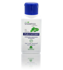 Šampūns pret blaugznām Natura House Pura Natura 250 ml cena un informācija | Šampūni | 220.lv