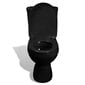vidaXL tualetes pods ar tvertni, melns цена и информация | Tualetes podi | 220.lv