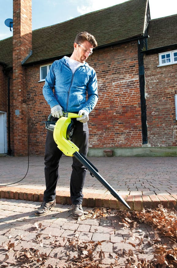 Elektriskais lapu pūtējs Ryobi RBV3000CESV cena un informācija | Lapu pūtēji, zaru smalcinātāji, slaucīšanas iekārtas | 220.lv