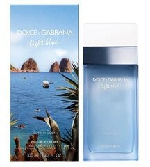 Tualetes ūdens Dolce & Gabbana Light Blue Love In Capri edt 100 ml cena un informācija | Sieviešu smaržas | 220.lv