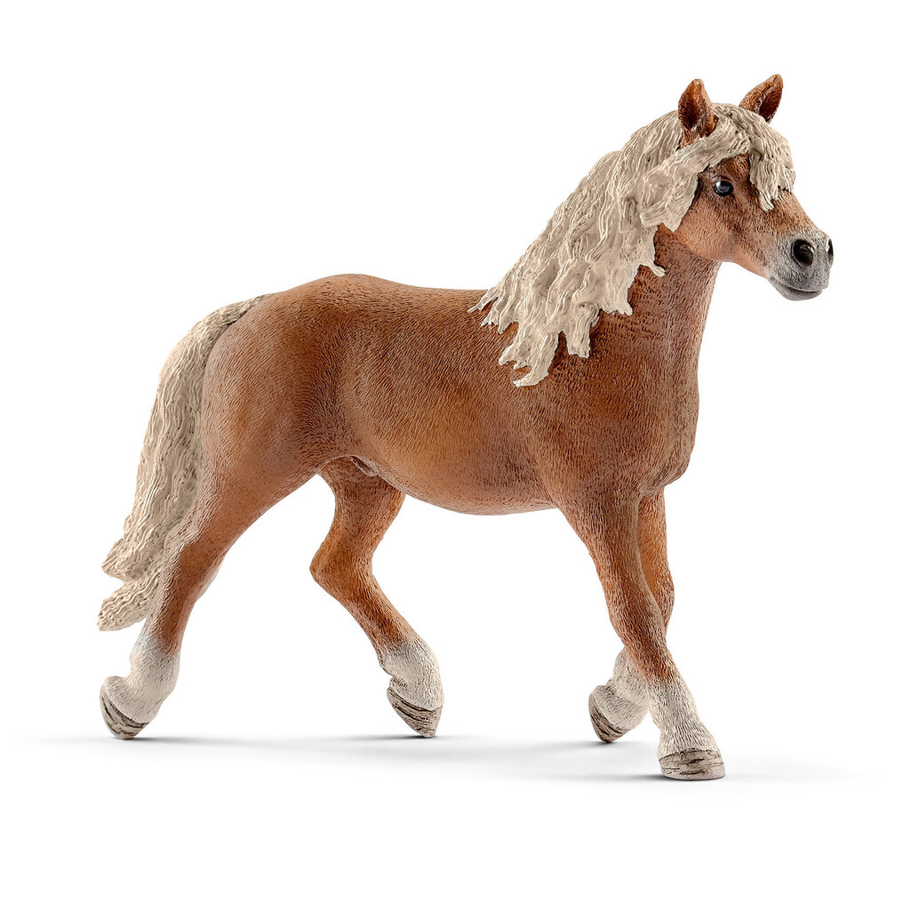 Figūriņa Haflinger zirgs, Schleich цена и информация | Rotaļlietas zēniem | 220.lv