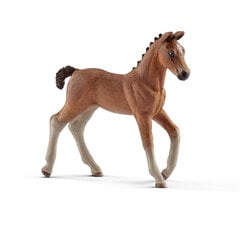 Figūriņa Hanoveras zirga kumeļš, Schleich cena un informācija | Rotaļlietas zēniem | 220.lv