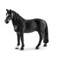 Figūriņa Tenese zirgs Schleich cena un informācija | Rotaļlietas zēniem | 220.lv