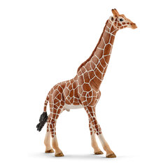 Figūriņa Žirafe, vīr.dz., Schleich cena un informācija | Rotaļlietas zēniem | 220.lv