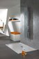 Dušas panelis Sanplast PP/Space-150, pelēks asfalts cena un informācija | Dušas komplekti un paneļi | 220.lv