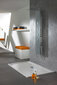 Dušas panelis Sanplast PP/Space-150, gaiši brūna cena un informācija | Dušas komplekti un paneļi | 220.lv
