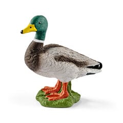 Фигурка Дикая утка, муж.п., Schleich цена и информация | Конструктор автомобилей игрушки для мальчиков | 220.lv