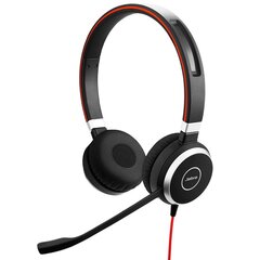 Проводные наушники Jabra Evolve 40 Duo цена и информация | Наушники | 220.lv