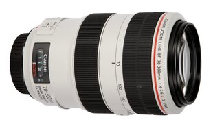 Canon EF 70-300mm f/4-5.6L IS USM цена и информация | Объективы | 220.lv