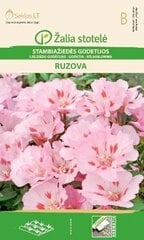 Крупноцветковая годеция Ruzova цена и информация | Семена цветов | 220.lv