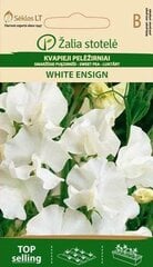 Душистый горошек White ensign цена и информация | Семена цветов | 220.lv