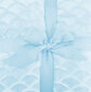 Dekorotīvs mikrošķiedras pleds Sardi Light Blue, 150x200 cm цена и информация | Gultas pārklāji, pledi | 220.lv
