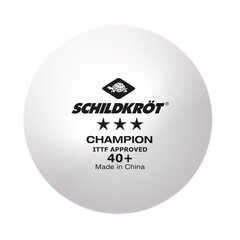 Galda tenisa bumbiņu komplekts Donic 3* Champion ITTF Poly 40+, 3 gab. cena un informācija | Galda tenisa raketes, somas un komplekti | 220.lv