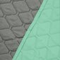 Divpusējs gultas pārklājs Axel Mint Steel, 200x220 cm cena un informācija | Gultas pārklāji, pledi | 220.lv