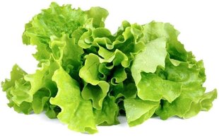 Click & Grow Smart Garden uzpilde Salāti 3gb. цена и информация | Проращиватели, лампы для растений | 220.lv
