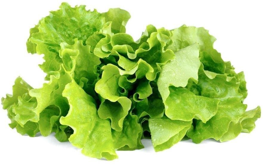 Click & Grow Smart Garden uzpilde Salāti 3gb. cena un informācija | Diedzēšanas trauki, augu lampas | 220.lv