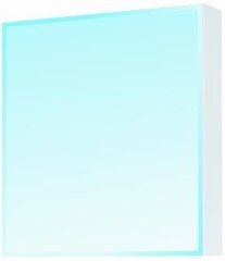 Piekaramais vannas istabas skapis ar spoguli Astor 7,55 cm cena un informācija | Vannas istabas skapīši | 220.lv