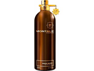 Parfimērijas ūdens Montale Paris Aoud Musk EDP sievietēm/vīriešiem 100 ml цена и информация | Женские духи | 220.lv