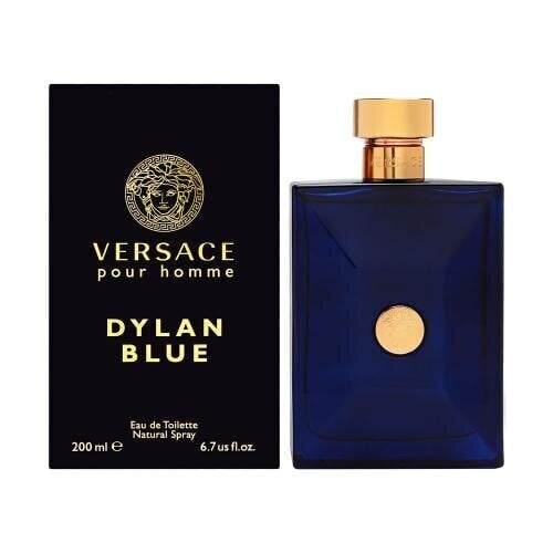 Tualetes ūdens Versace Pour Homme Dylan Blue EDT vīriešiem 200 ml цена и информация | Vīriešu smaržas | 220.lv