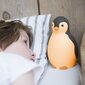 Naktslampiņa-projektors Pingvīns Zazu Pam, pelēks cena un informācija | Rotaļlietas zīdaiņiem | 220.lv