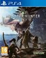 Monster Hunter World PS4 цена и информация | Datorspēles | 220.lv