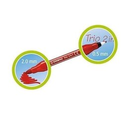 Flomāsteri divpusēji Stabilo 10 krāsas цена и информация | Принадлежности для рисования, лепки | 220.lv