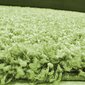 Ayyildiz paklājs Shaggy Dream Green 4000, 120x170 cm cena un informācija | Paklāji | 220.lv