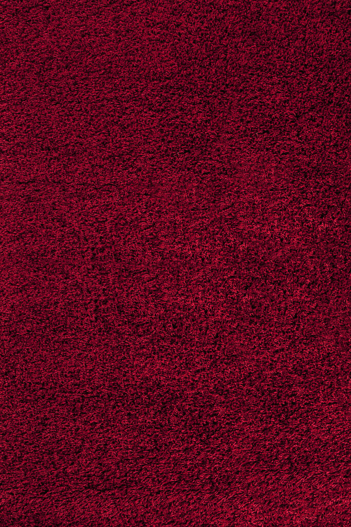 Ayyildiz paklājs Shaggy Dream Red 4000, 120x170 cm cena un informācija | Paklāji | 220.lv